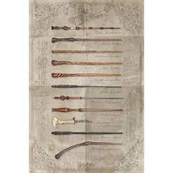 Harry Potter The Wand Chooses The Wizard Poster (1)