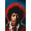 Geek-Aboo Home & Gifts Jimi Hendrix Both Sides Of The Sky Maxi Poster