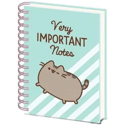 Home & Gifts PUSHEEN (VERY IMPORTANT NOTES)