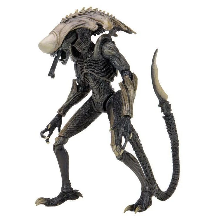 Alien Vs. Predator Chrysalis (Movie Deco) Action Figure Toys & Figures 3 Alien Vs. Predator Chrysalis (Movie Deco) Action Figure Toys & Figures