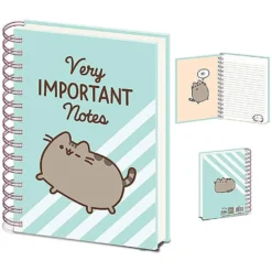 Home & Gifts PUSHEEN (VERY IMPORTANT NOTES)