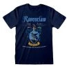 Harry Potter Ravenclaw Quidditch T-Shirt Film & TV