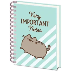 Home & Gifts PUSHEEN (VERY IMPORTANT NOTES)