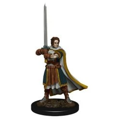 Tabletop Dungeons & Dragons: Icons Of The Realms - Human Cleric Male Miniature