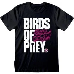 DC Comics Birds Of Prey Logo T-Shirt
