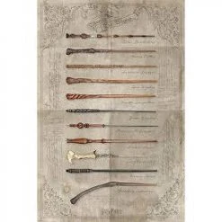 Harry Potter The Wand Chooses The Wizard Poster (1)
