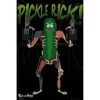 Film & TV Rick And Morty Pickle Rick 15 2 Film & TV Rick And Morty Pickle Rick 15