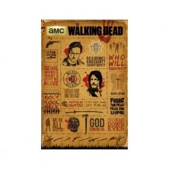 The Walking Dead Infographic Maxi Poster Film & TV