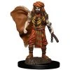 Dungeons & Dragons: Icons Of The Realms - Human Druid Male Miniature