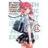 My Youth Romantic Comedy Is Wrong, As I Expected Youth Romantic Comedy Vol 11