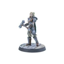 The Elder Scrolls: Call To Arms - Adventurer Followers Gaming