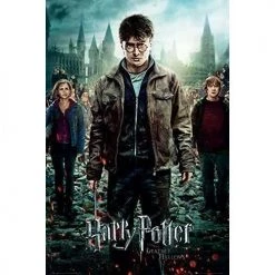 Harry Potter 7 Part 2 One Sheet Maxi Poster Film & TV